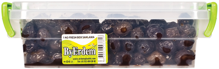 ERDEM FRESH BOX 1 NO  381 ART-28406