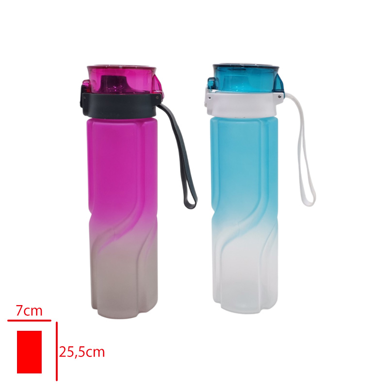 LEVA MOTIVASYON MATARA 800 ML LV-3534