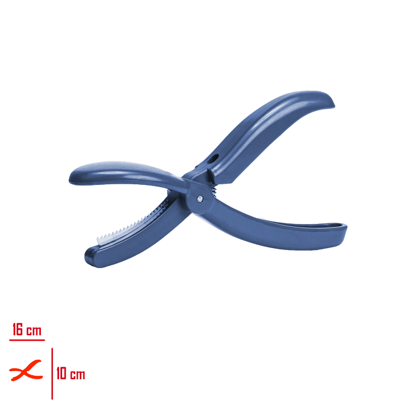 SUN KESTANE CIZICI SC-2408