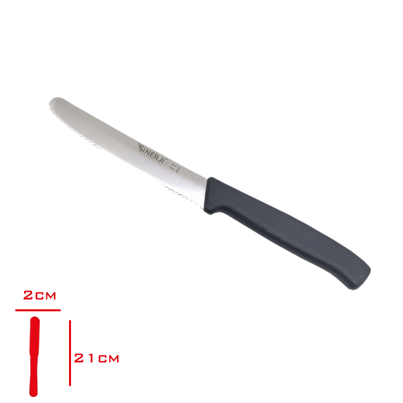 DOMATES BICAGI SILVER DISLI 19*110*1,7 MM 10142