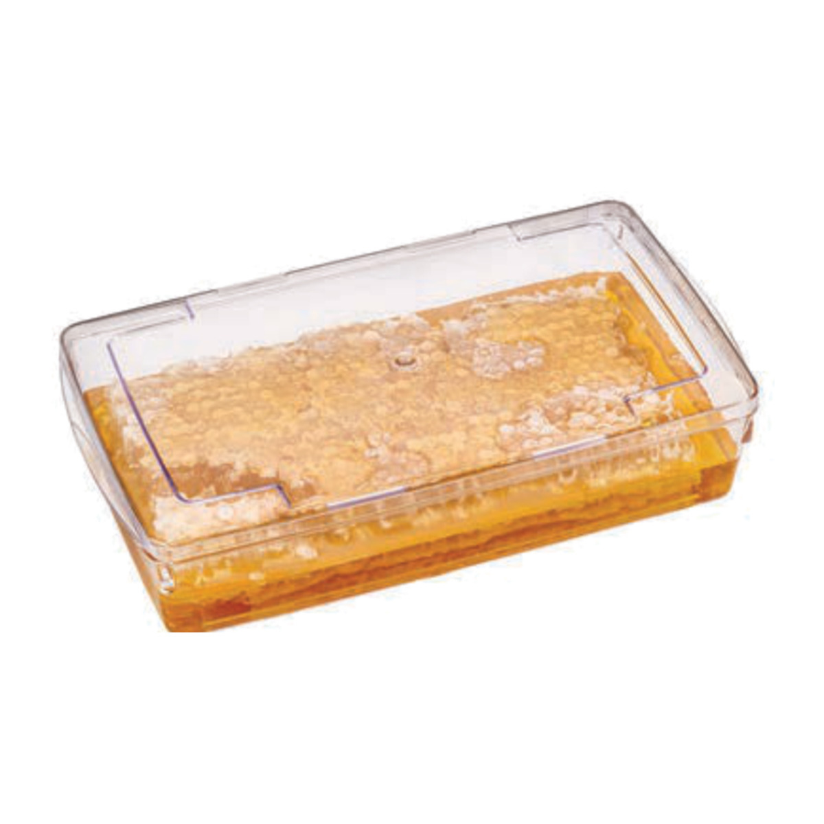 Honey Kutu 1000 cc
