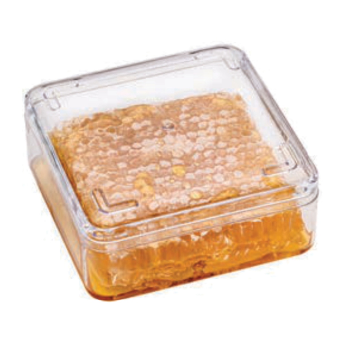 Dikdörtgen Honey Kutu 590 cc