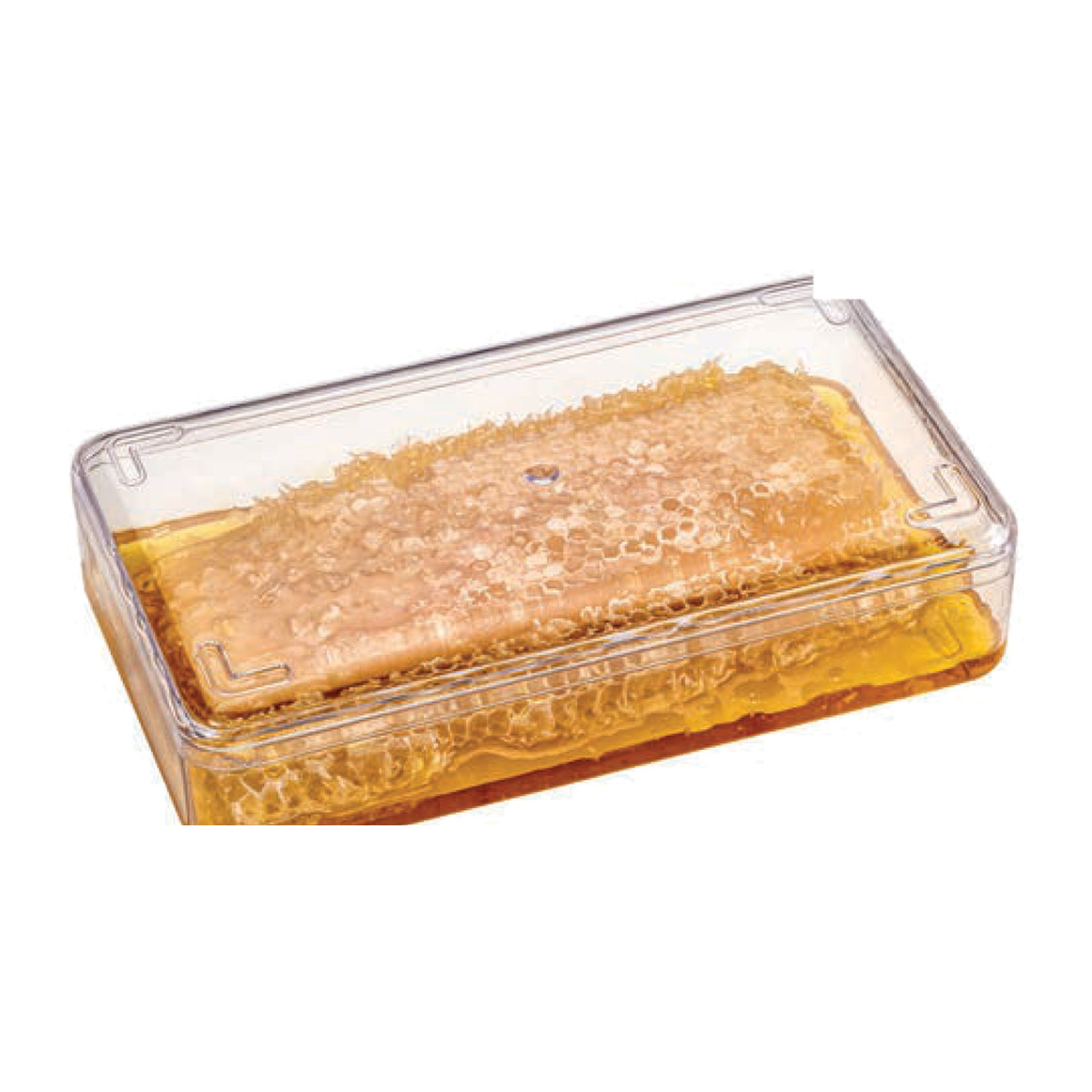 Dikdörtgen Honey Kutu 840 cc