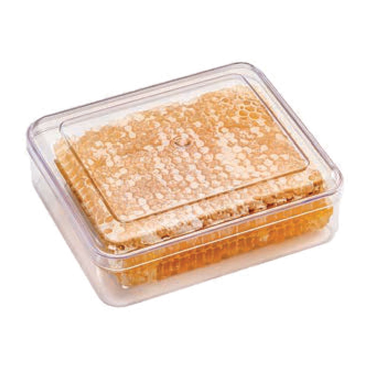 Honeycomb Kutu 400 cc