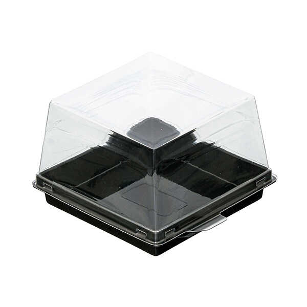 Siyah Taban Kare Pasta Kabı Set 12x12x8 cm